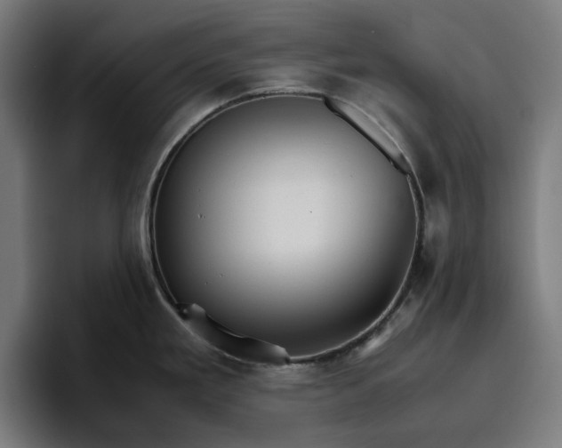 X0000096701293200802191441