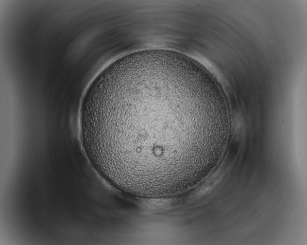 X0000096701294200802191441