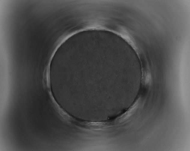 X0000096701295200802191441