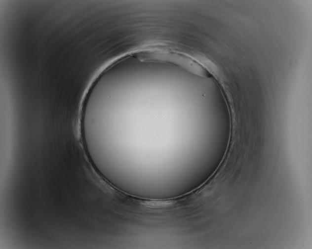 X0000096701296200802191441