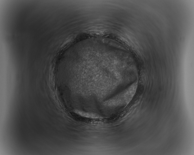 X0000096701297200802191440