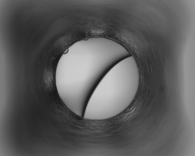 X0000096701299200802191440