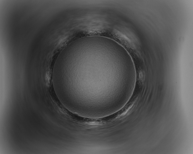 X0000096701300200802191440