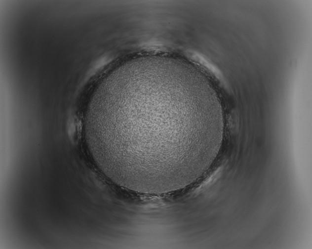 X0000096701302200802191440