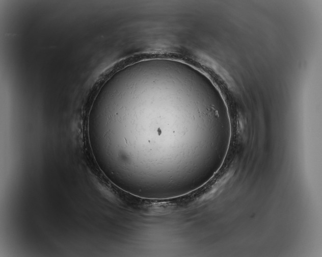 X0000096701304200802191440