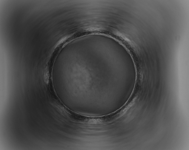 X0000096701306200802191440