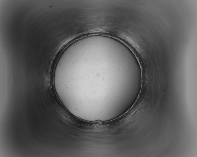 X0000096701308200802191440