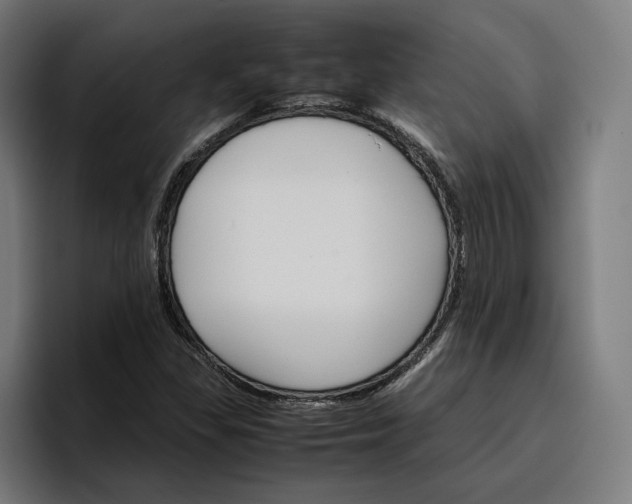 X0000096701309200802191440