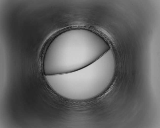X0000096701310200802191440