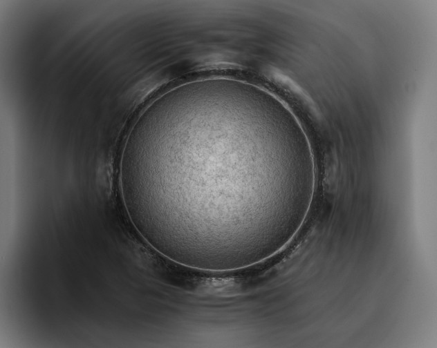 X0000096701313200802191440