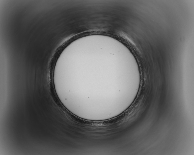 X0000096701315200802191440