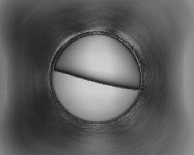 X0000096701316200802191440