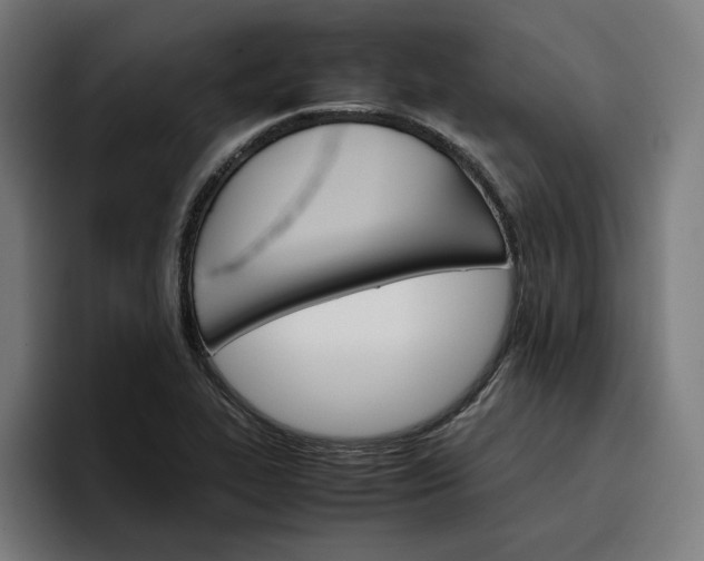 X0000096701319200802191440