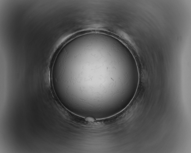 X0000096701320200802191440