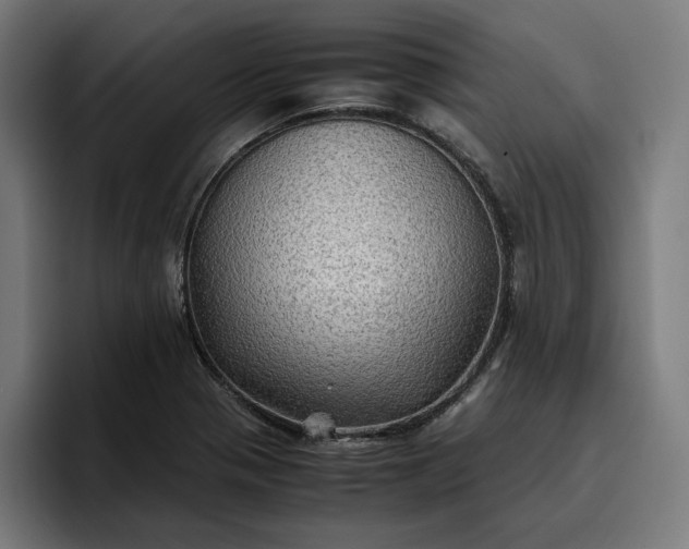 X0000096701321200802191440