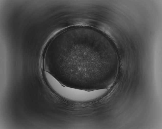 X0000096701323200802191440