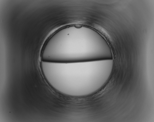 X0000096701324200802191440