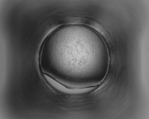 X0000096701325200802191440