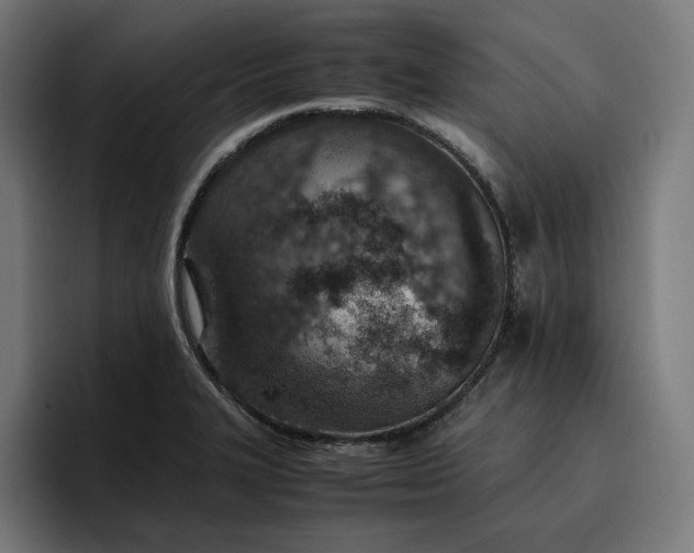 X0000096701327200802191440