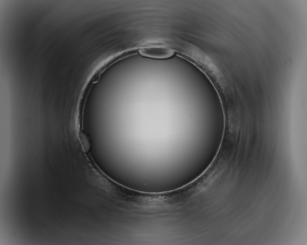 X0000096701328200802191440
