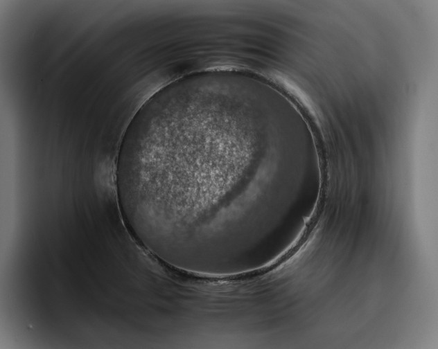 X0000096701329200802191440