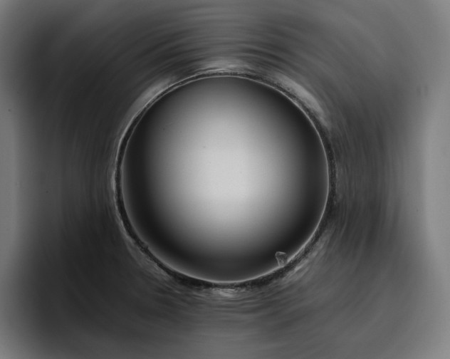 X0000096701330200802191440