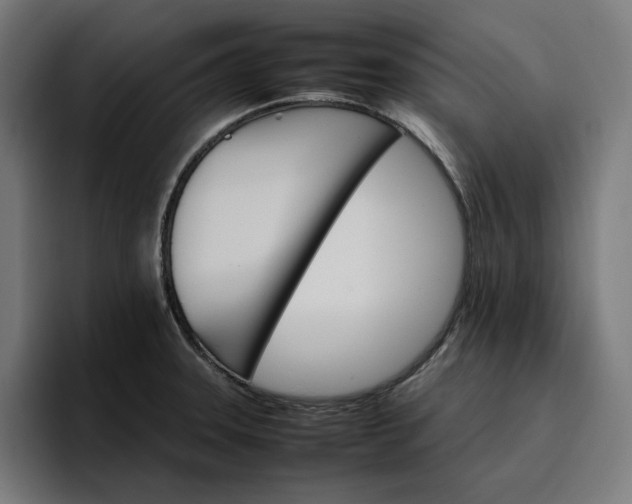 X0000096701331200802191440