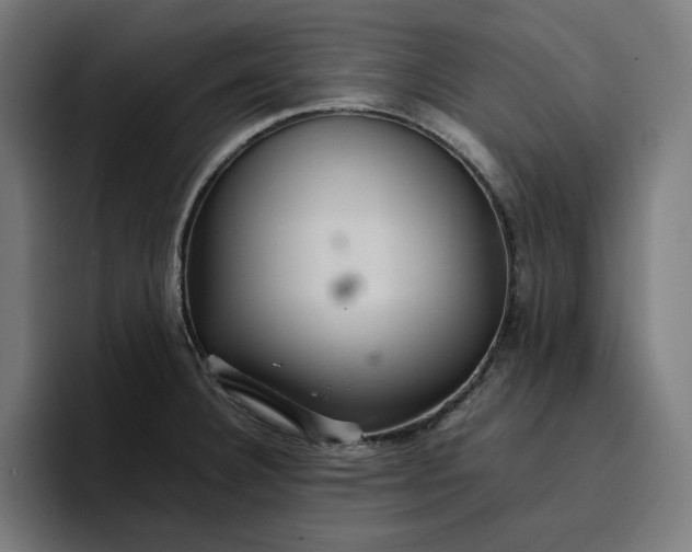 X0000096701332200802191440