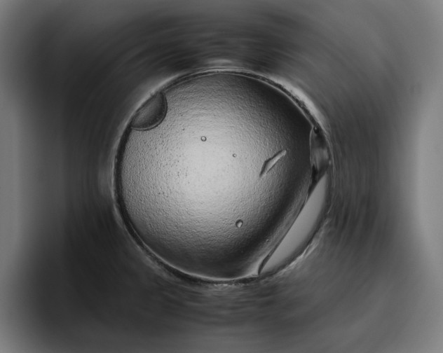 X0000096701333200802191440