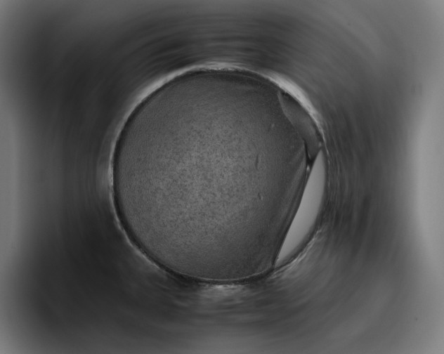 X0000096701335200802191440