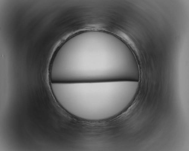X0000096701336200802191440