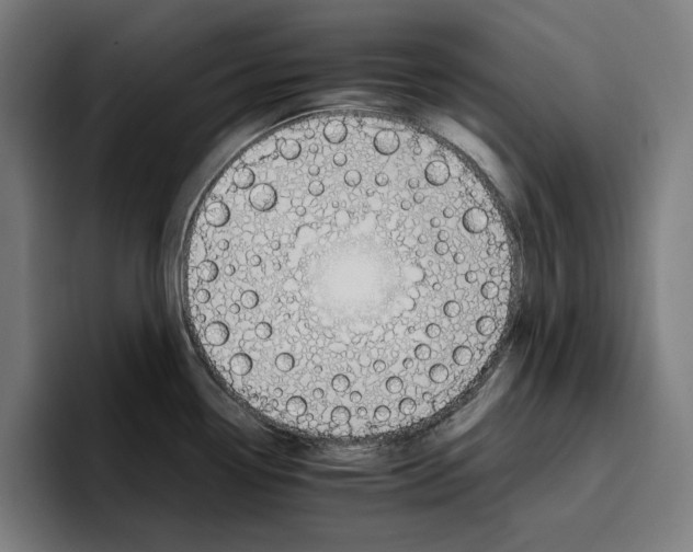 X0000096701338200802191440