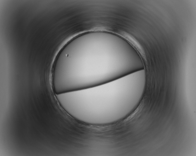 X0000096701340200802191440