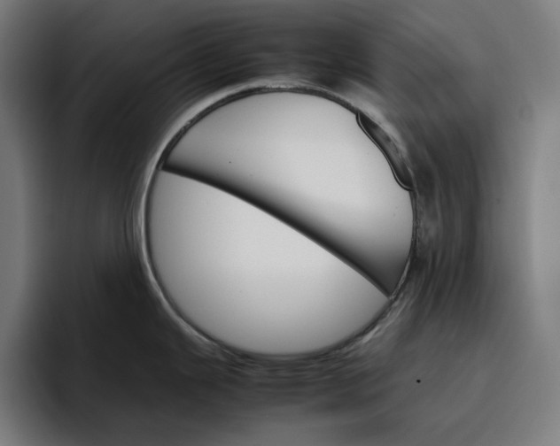 X0000096701343200802191440