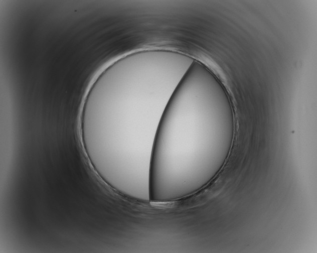 X0000096701344200802191440