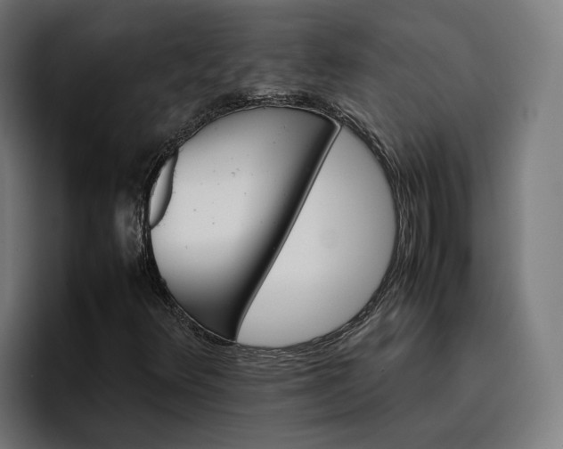 X0000096701348200802191440