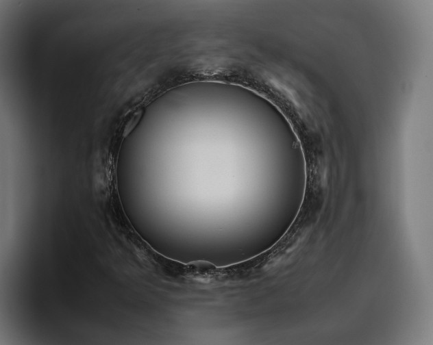 X0000096701349200802191440