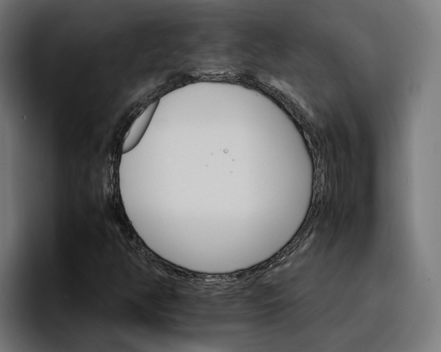 X0000096701350200802191440