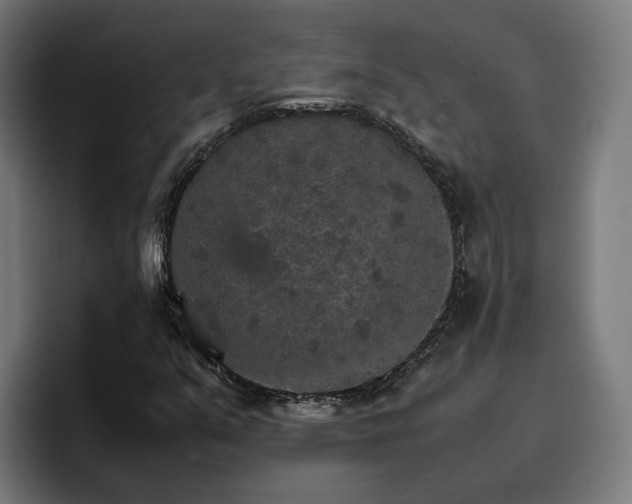 X0000096701351200802191440