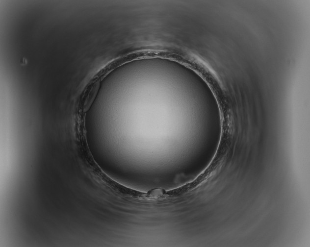 X0000096701352200802191440
