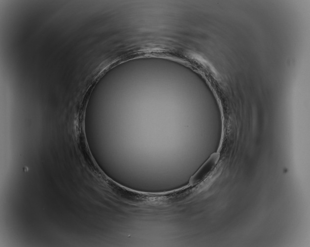 X0000096701353200802191440