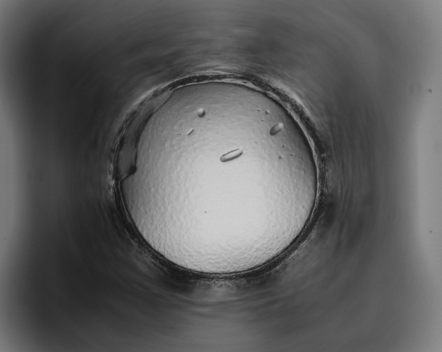 X0000096701355200802191440