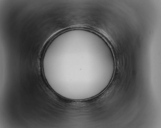 X0000096701356200802191440