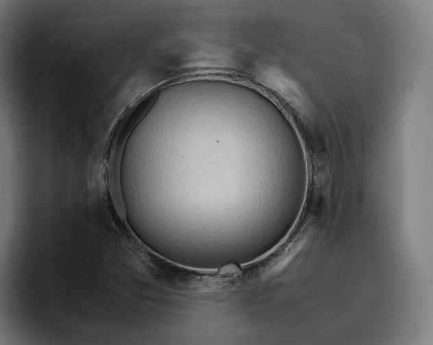 X0000096701357200802191440