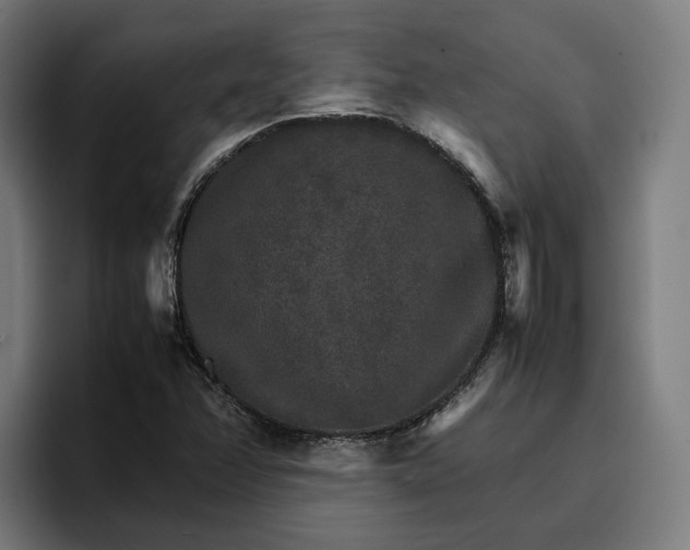 X0000096701358200802191440