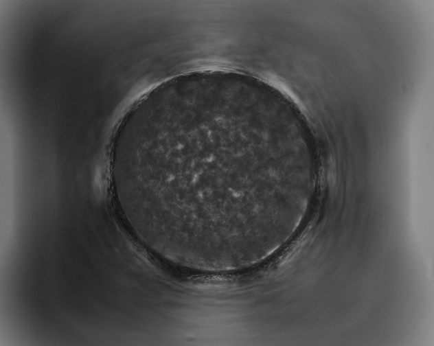 X0000096701359200802191440