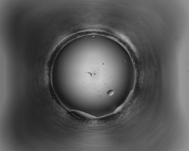 X0000096701360200802191440