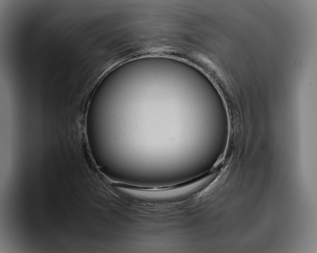 X0000096701361200802191440