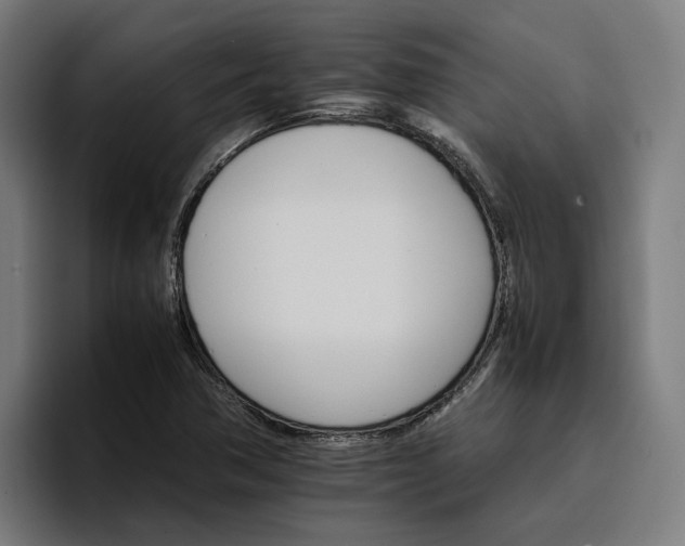 X0000096701362200802191440