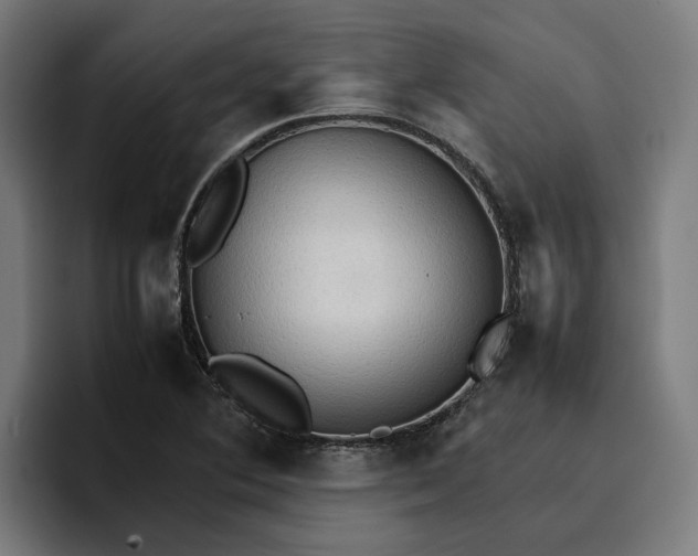 X0000096701364200802191440